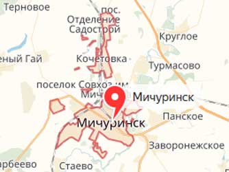 Карта: Мичуринск